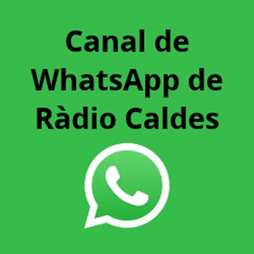Canal WhatsApp
