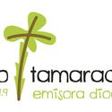 logoprograma