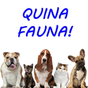 logoprograma
