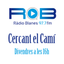 logoprograma