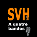 logoprograma