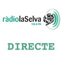 logoprograma
